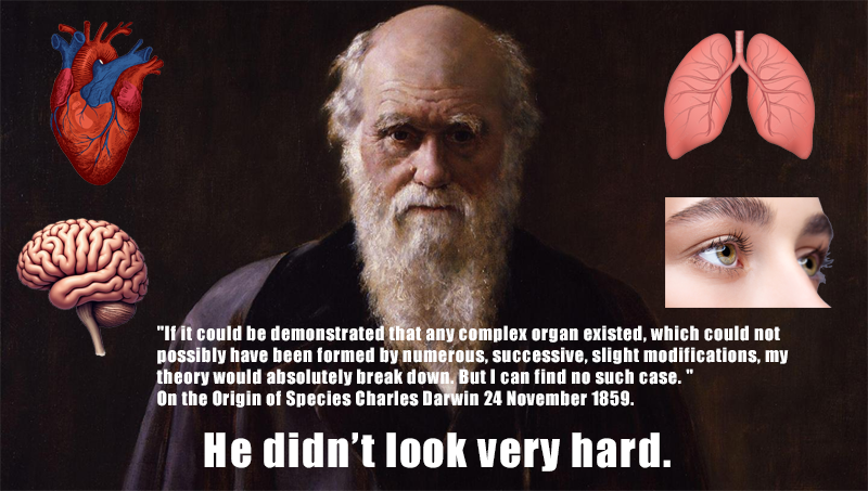 He didn't look very hard