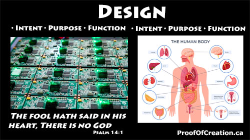 design tn