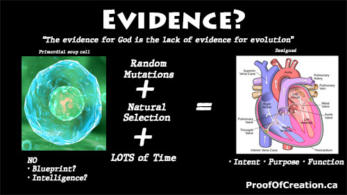 evidenceForGod tn