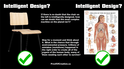 intelegentdesign tn