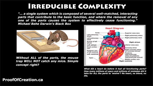 irreduciblecomplexity tn